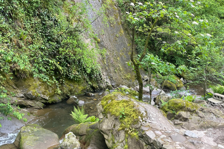 Batumi: Adjara Waterfalls, Gonio Fortress & Jeep Tour
