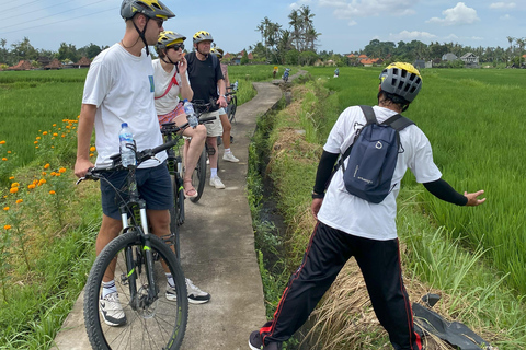 Ubud: Downhill-cykeltur med risfält, vulkan och måltidPrivat grupp