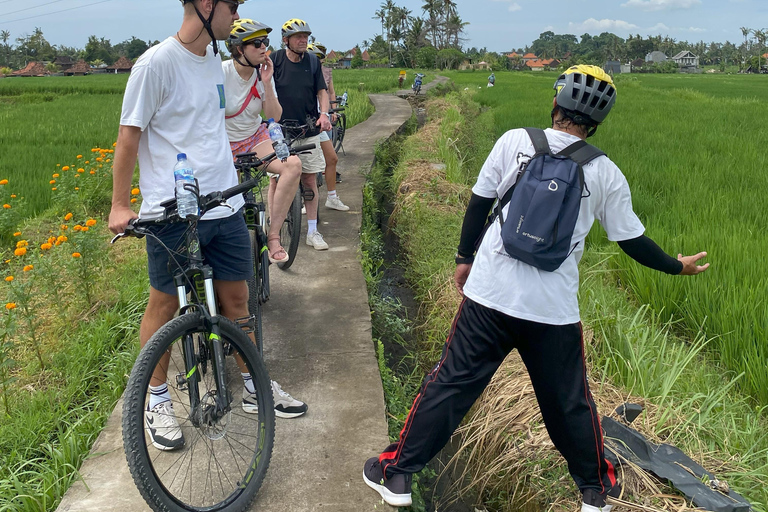 Ubud: Downhill-cykeltur med risfält, vulkan och måltidPrivat grupp