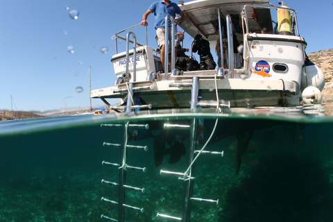 Malta, Malta PADI Open Water Diver-kurs i Il-Mellieħa