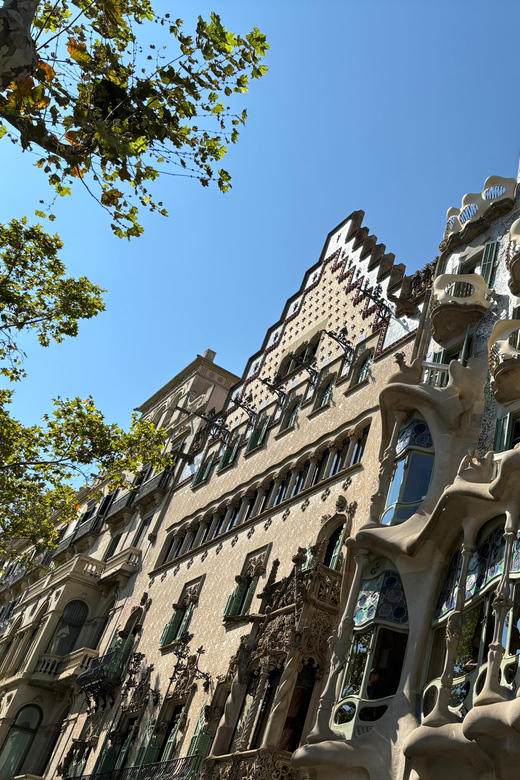 Galerie média