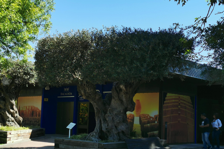 Lissabon zur Weinprobe in Setubal, zwei Weinkeller, HalbtagestourLissabon - Weinverkostung Setubal, zwei Kellereien, Halbtagestour