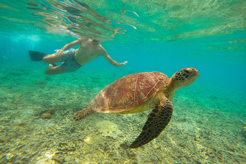 Plongée en apnée en groupe privé sur les 3 îles Gili à partir de Gili Trawangan