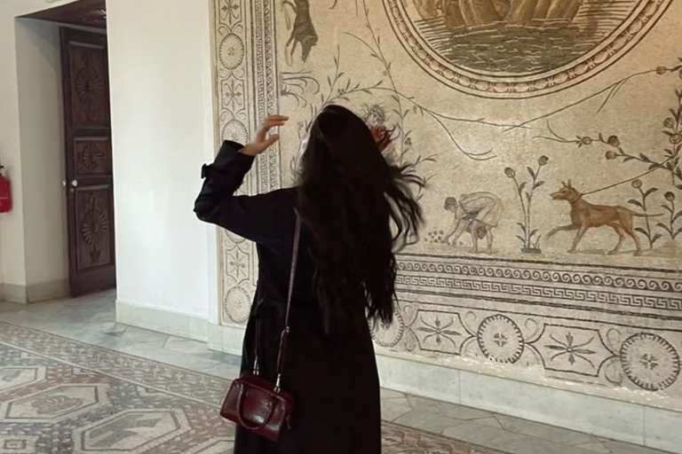 From Tunis & Hammamet: Bardo, Carthage & Sidi Bou Said