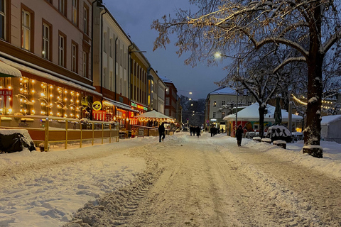 Oslo: Private Vintage Walking Tour with Photos Private Vintage Oslo Walk & Aesthetic Photos