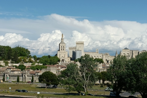 Avignon : Half-Day Walking Tour with Private Guide