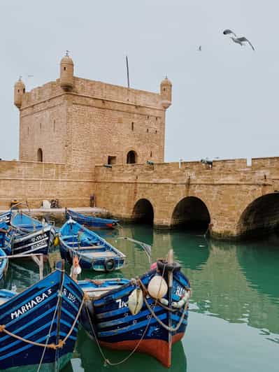 Excursion d'une journée à Essaouira depuis Marrakech, côte atlantique et médina - medina