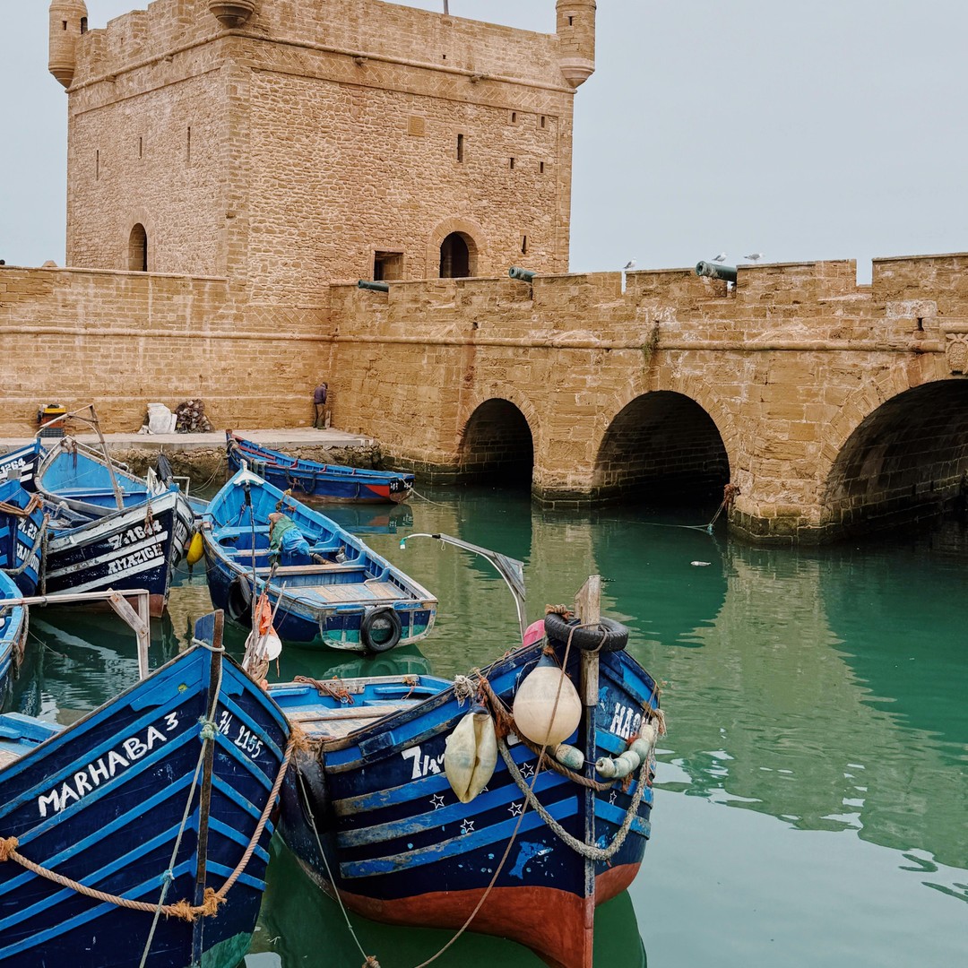 Excursion d'une journée à Essaouira depuis Marrakech, côte atlantique et médina - medina