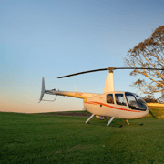 Brisbane: Helicopter Pub Crawl with Scenic Flights