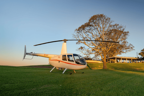 Brisbane: Helicopter Pub Crawl with Scenic Flights