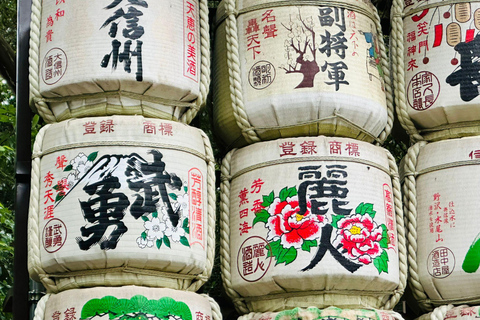 Tokyo: Private Tailored Tour with a Local Guide (2 hours) Tokyo: Private Tailored Tour with a Local Guide