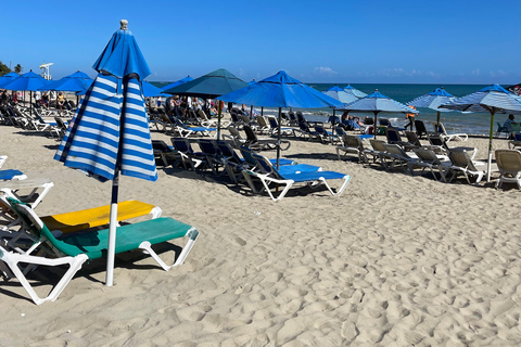 Amber Cove & Taino Bay: Private VIP Monkeys & Beach Escape