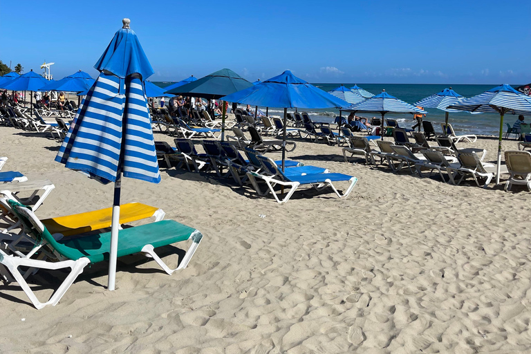 Amber Cove & Taino Bay: Private VIP Monkeys & Beach Escape