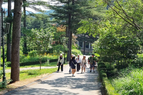 Seoul: Nami Island, Garden of Morning Calm, & Railbike Tour