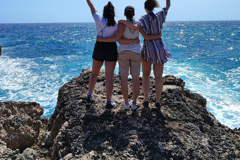 Majorque : Excursion d'une journée à Des Moro, Salmunia et LlombardsDepuis le nord : Mallorca tour Cala Des Moro, Salmunia y Llombard