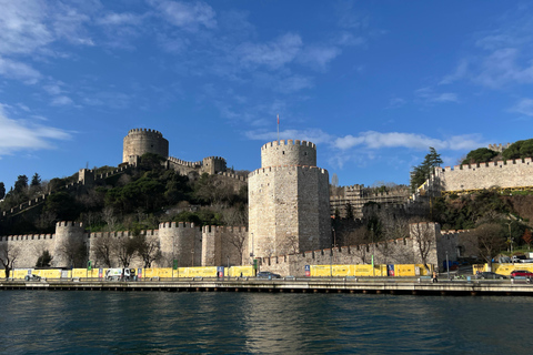 Bosphore d'Istanbul : croisière de 3 heures avec arrêt dans la partie asiatiqueBosphore : croisière guidée de 3 heures (sans repas)