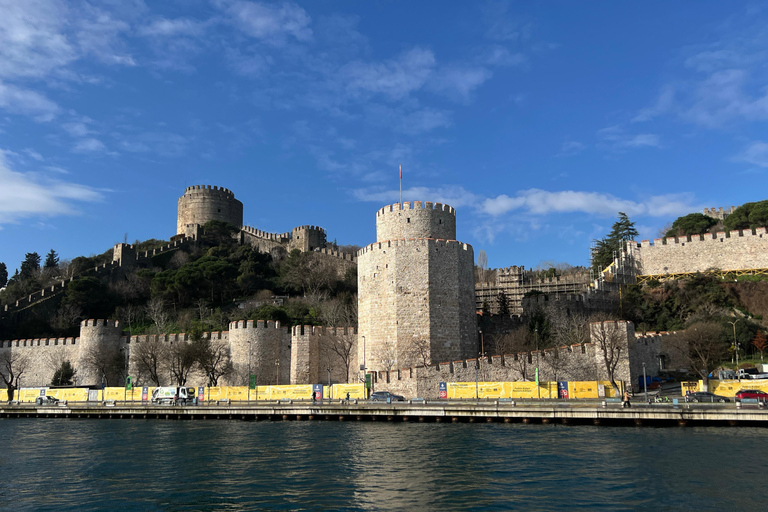 Bosphore d'Istanbul : croisière de 3 heures avec arrêt dans la partie asiatiqueBosphore : croisière guidée de 3 heures (sans repas)