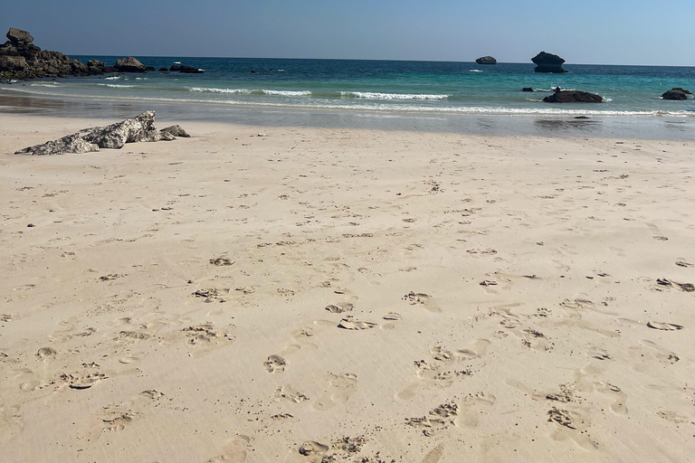 Sterrenlicht aan de kust: een avontuur met een terreinwagen en overnachting op Fazayah BeachSterrenlichtkusten: 4WD-avontuur met overnachting op Fazayah Beach