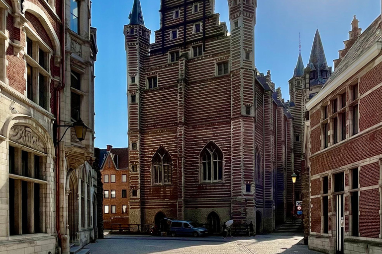 Explore the history of Antwerp with a local history teacher