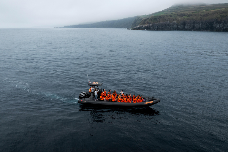 Isla de São Miguel: tour en barco por la costa norte salvajeRecorrido por la costa salvaje del norte - Tarde