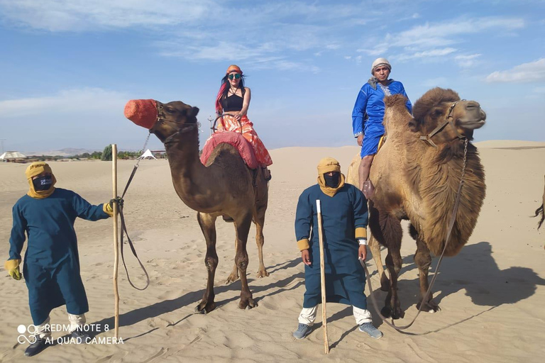 Peru: Camel Ride and Wine Tasting in the Desert