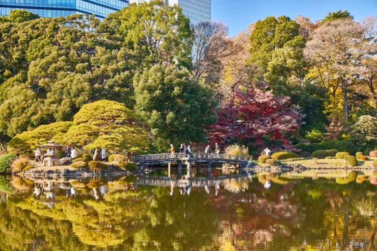 Tokyo: Shinjuku Gyoen National Garden Entry Ticket
