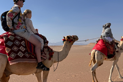 Hurghada: Camel Ride & horse ride and Off-Road Jeep Tour pickup from hotels inside hurghada