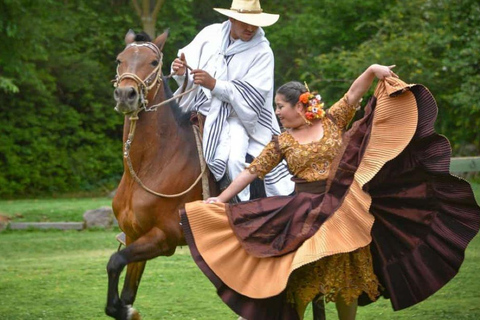 Da Trujillo | Spettacolo di Marinera con cavalli Paso peruviani