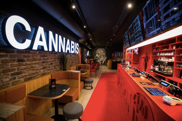 Ámsterdam: tour a pie de la marihuana con aperitivos