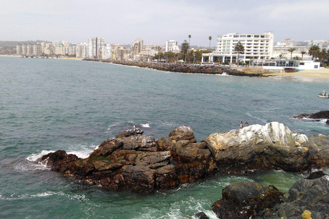 Chili : excursion d&#039;une journée à Viña del Mar et Valparaíso au départ de SantiagoVisite privée en chinois