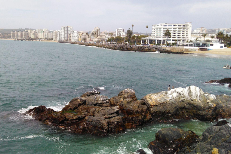 Chili : excursion d&#039;une journée à Viña del Mar et Valparaíso au départ de SantiagoVisite privée en chinois