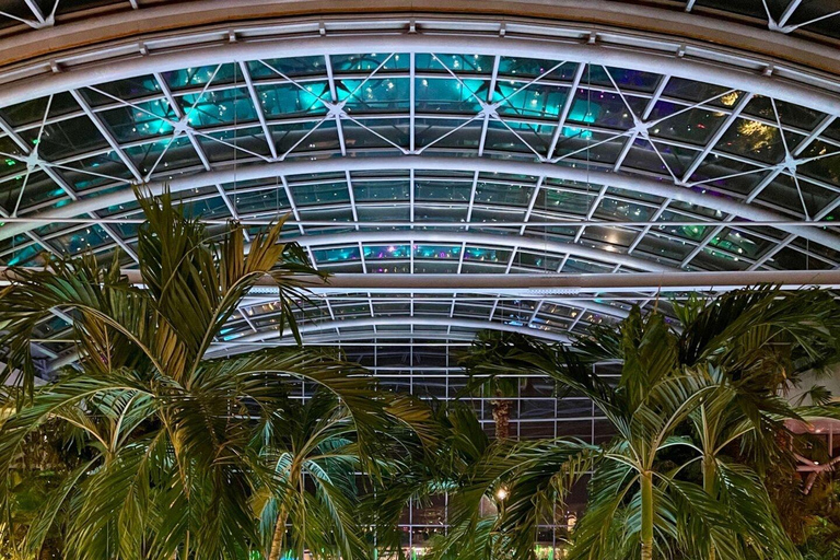 Official Therme Bucharest Entry Ticket – All Areas Access Therme Bucharest The Palm Ticket – Full Day