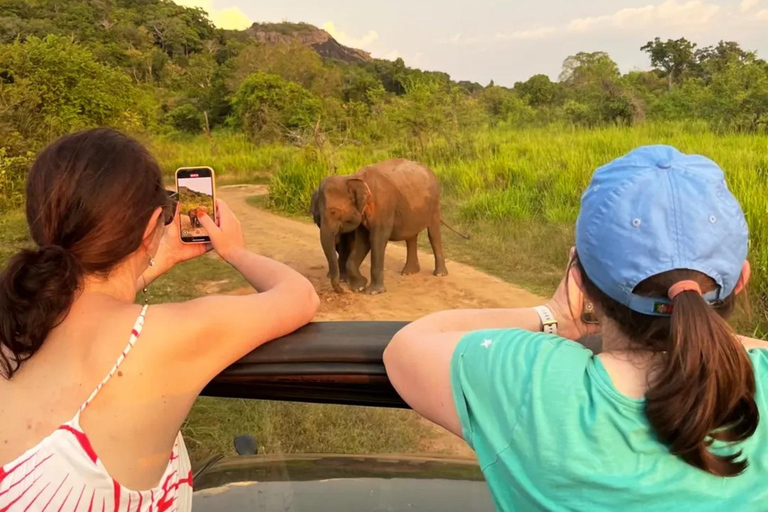 From Sigiriya: Hurulu Eco Park Sunset Jeep Safari