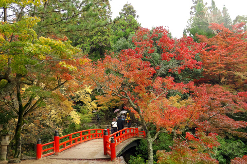 Private Shore Excursion: Hiroshima Highlights