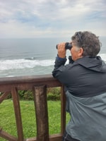 Scoperta oceanica - Housity