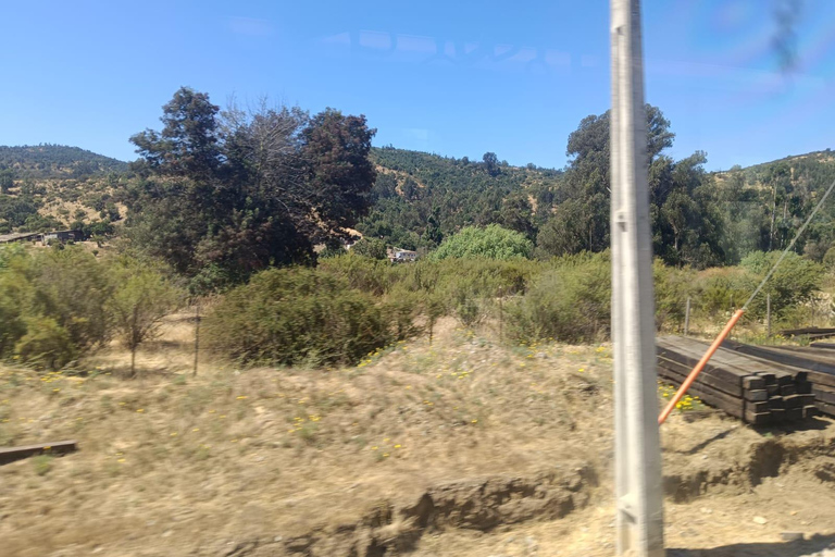 Valparaíso: Scenic Train Journey from Coast to Valley