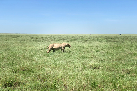 Arusha/Moshi 5 jours de safari en Tanzanie en groupe avec participation à un budget