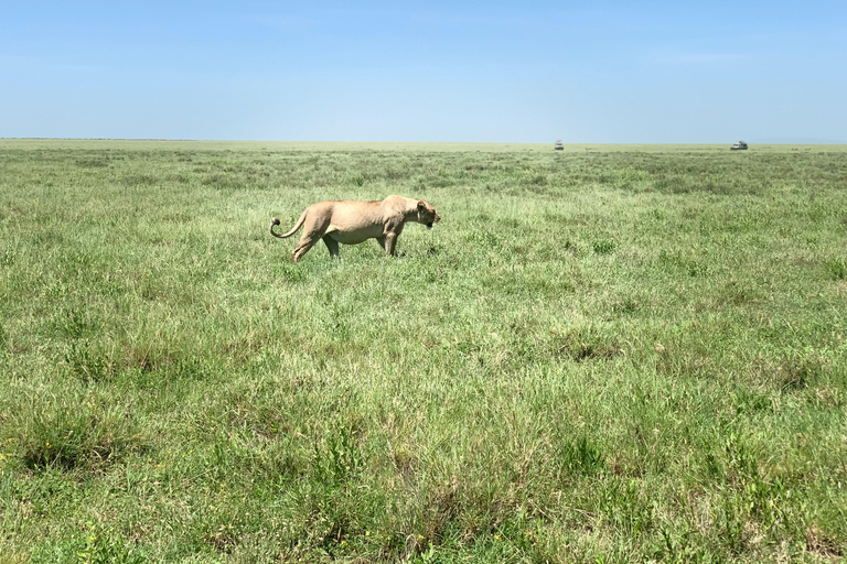 Arusha/Moshi 5 jours de safari en Tanzanie en groupe avec participation à un budget