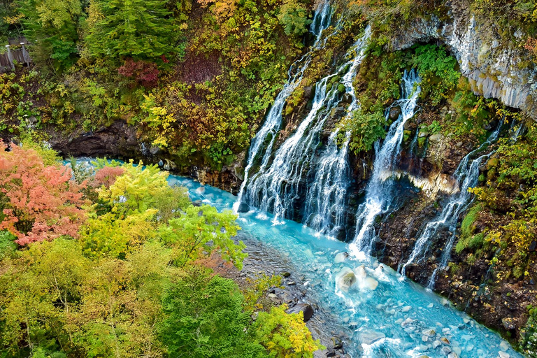 Asahiyama Adventure: Zoo+Waterfalls & Blue Pond Day Tour Meet at Exit 31 of Odori Park Subway Station