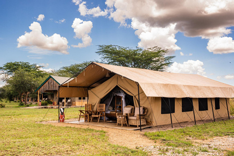 From Zanzibar: 2-Day Serengeti Park Safari Tour with Flights