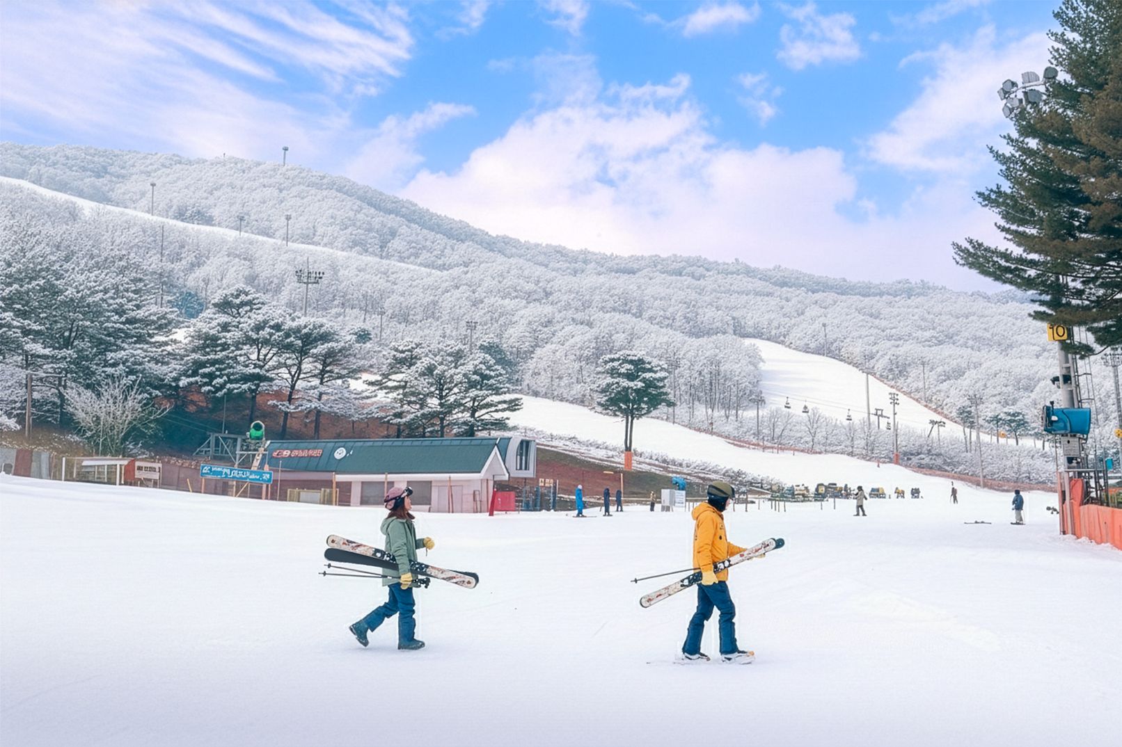 Seoul: Tagestour zum Skigebiet Jisan Forest und nach Everland