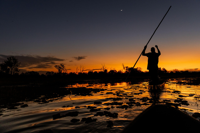 Mokoro Safari Experience in the Okavango Delta