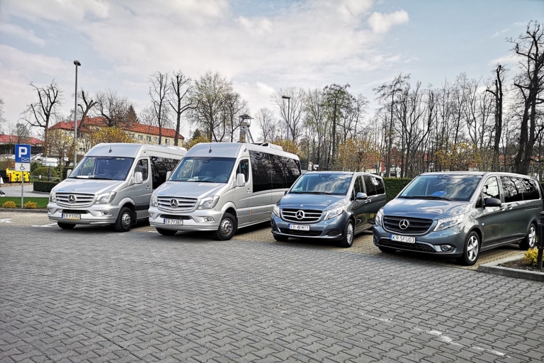 Poznan: Private Airport Transfer to/from the City Transfer from the Airport to Poznan