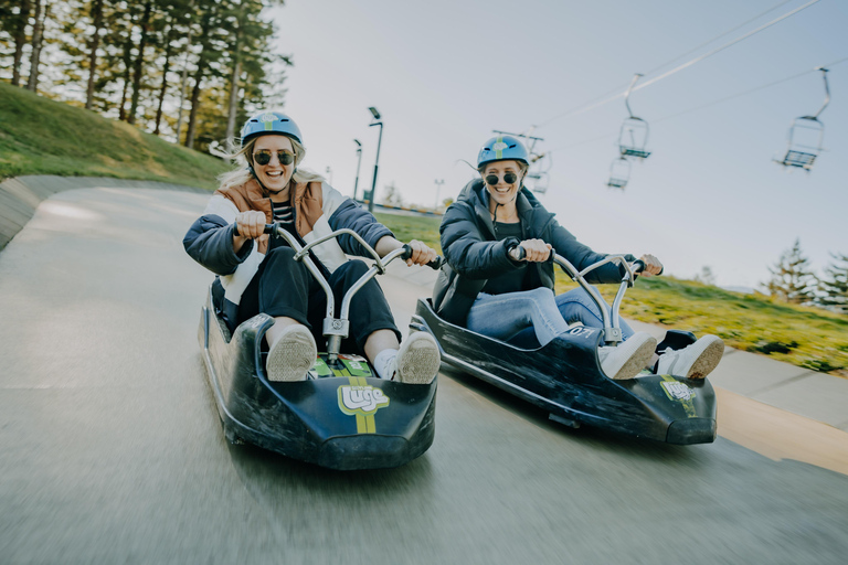 From Auckland: Rotorua Day Trip with Te Puia & Luge Rides