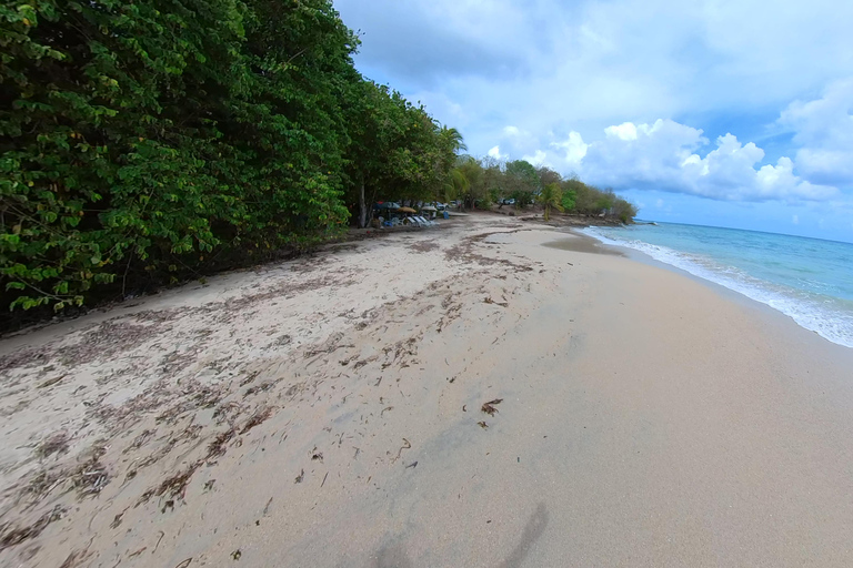 Diamanthalvön : En 1/2 dagstur till minnesmärket längs vikarna