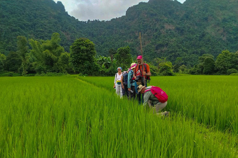 Vang Vieng: Guided Cultural Heritage & Waterfall Tour
