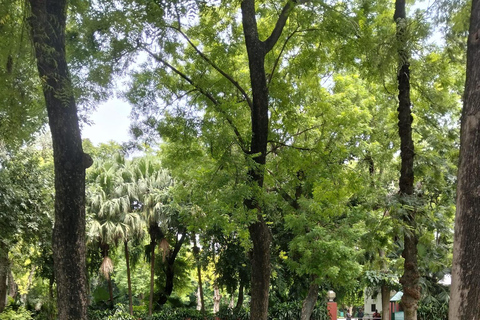 Indira Gandhi Museum: India’s 1st Woman Prime Minister