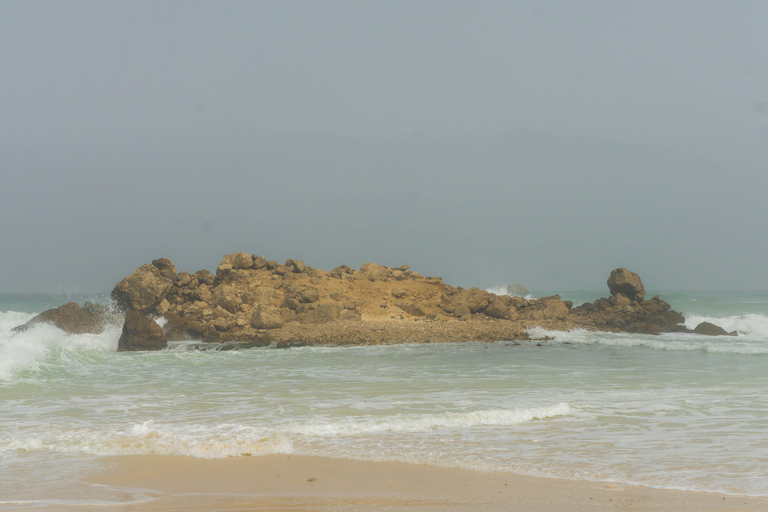 Salalah: Private Fazayah Beach Full-Day Tour 4x4 (1-4 guests)