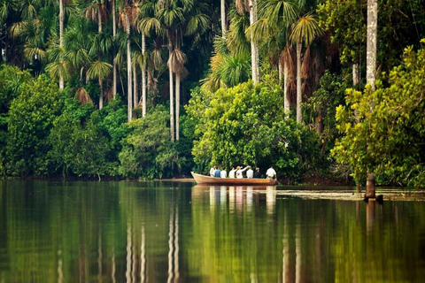 Safari na selva de Tambopata