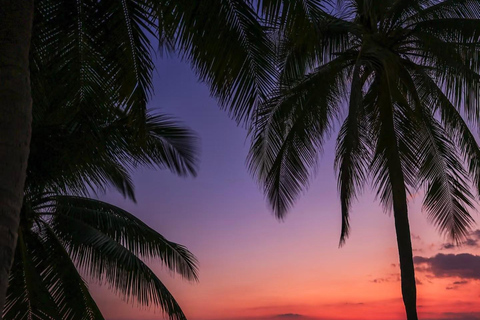 Sanya: Nanshan Scenic Area & Yazhou Ancient City Tour Guide for other languages